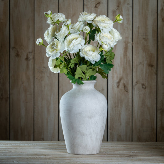 The Natural Garden Collection Apricot Ranunculus