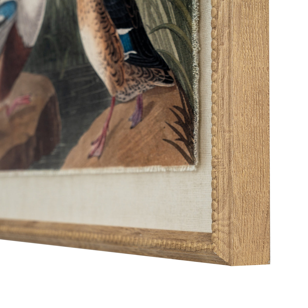 Flora & Fauna Collection Mallards On Linen In Beaded Frame