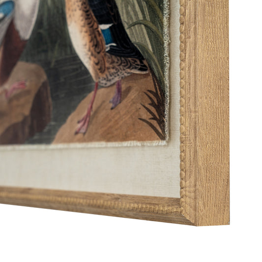 Flora & Fauna Collection Mallards On Linen In Beaded Frame