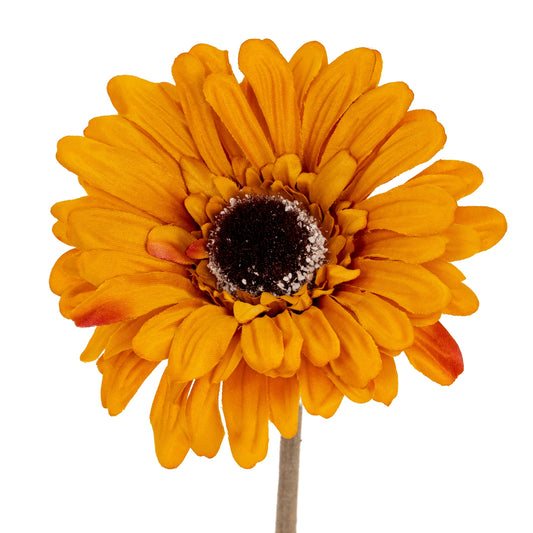 Orange Gerbera Stem