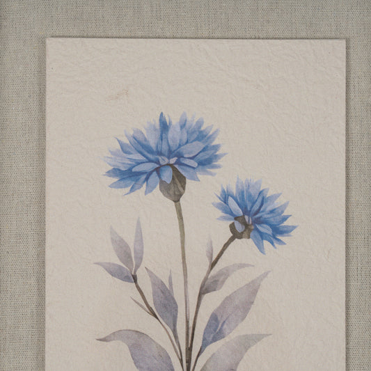 Rosalie Textured Paper Cornflower in Mirrored Frame