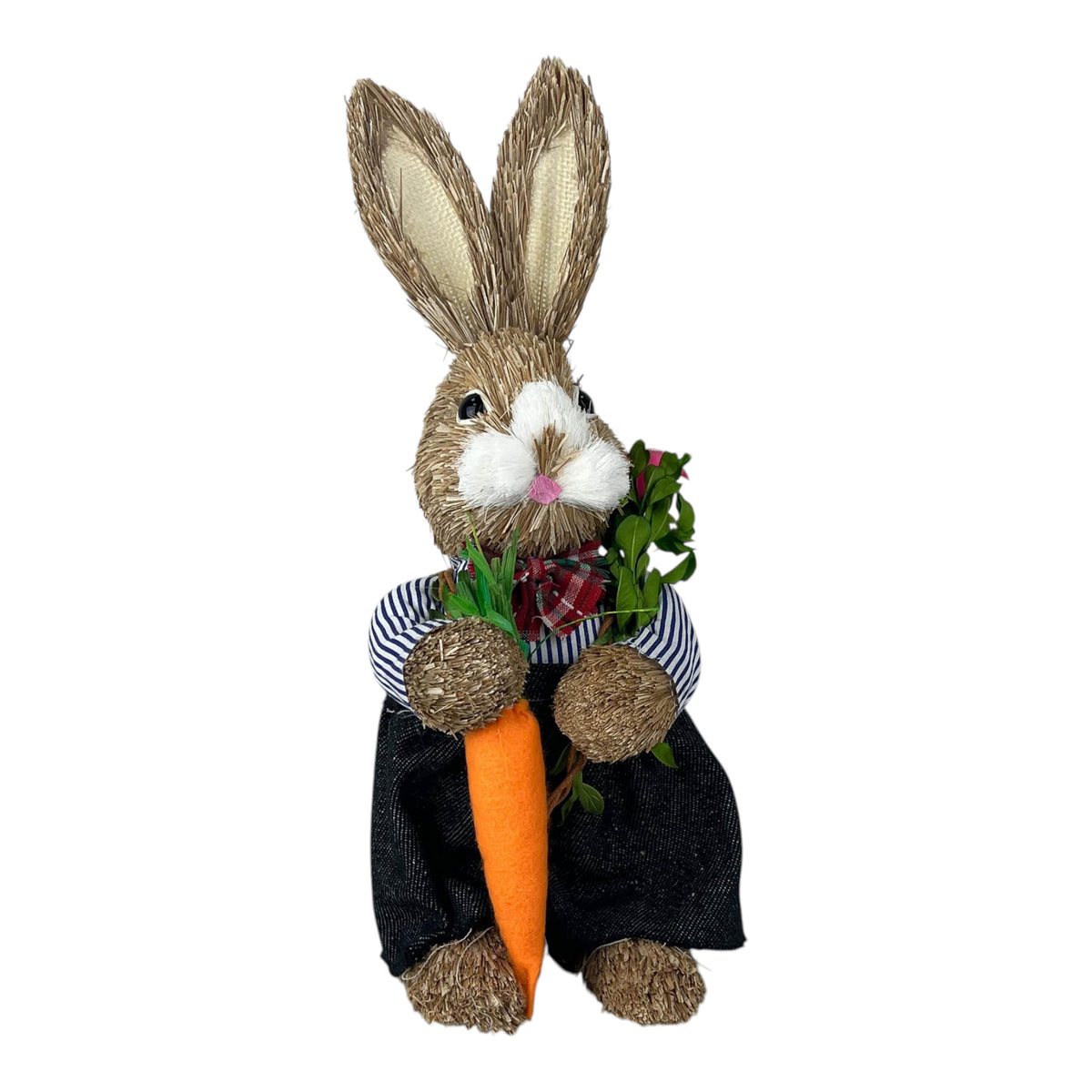 Rabbit Holding A Carrot