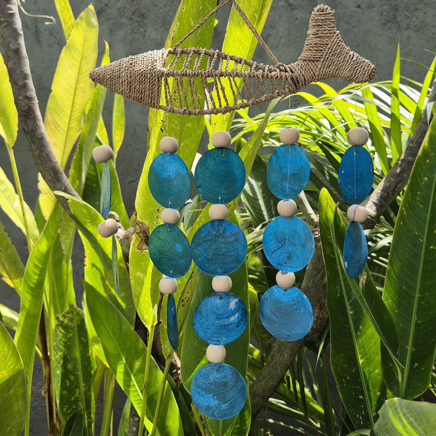 String Fish and Blue Copis Drop