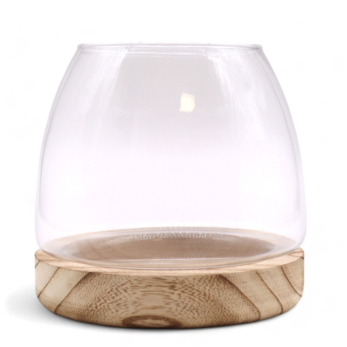 Medium Terrarium on Natural Tung Wood