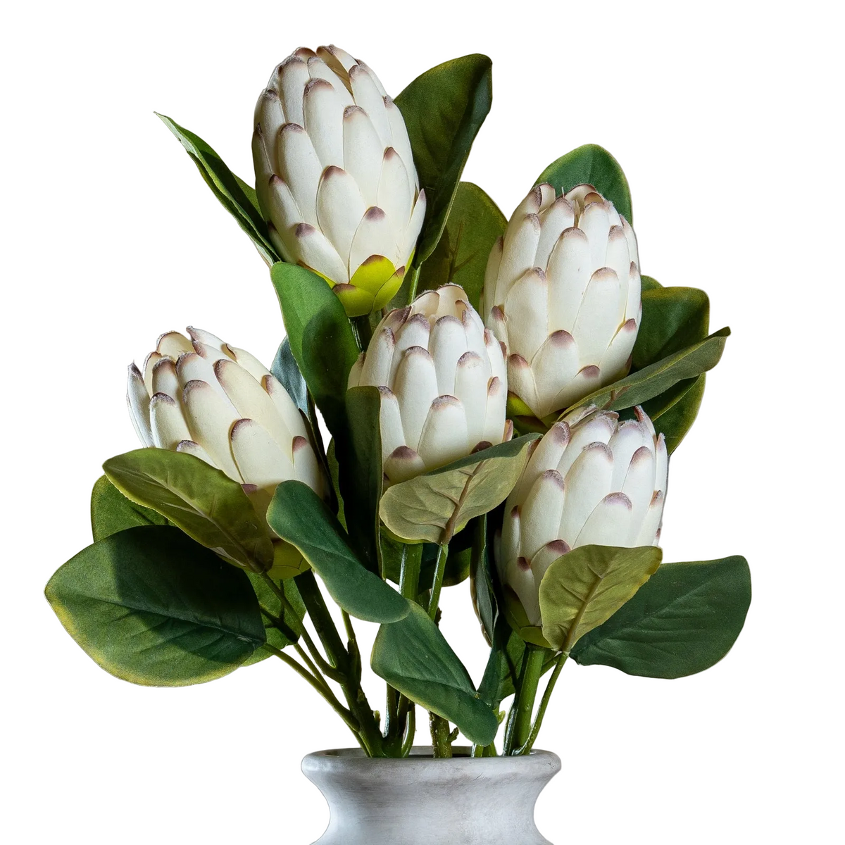 Closed White Protea Artificial Flower Stem
