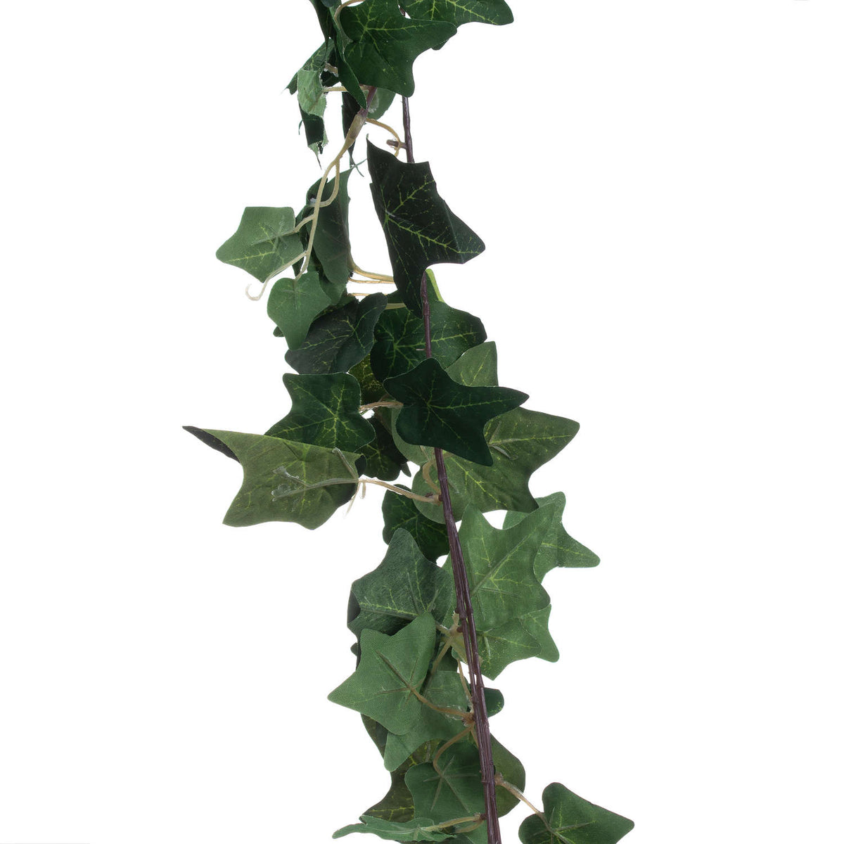 Ivy Garland Home Decor