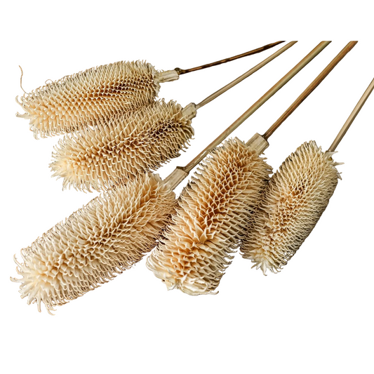 Bouquet Of Dried Tall Thistle Artificial Flower Stem