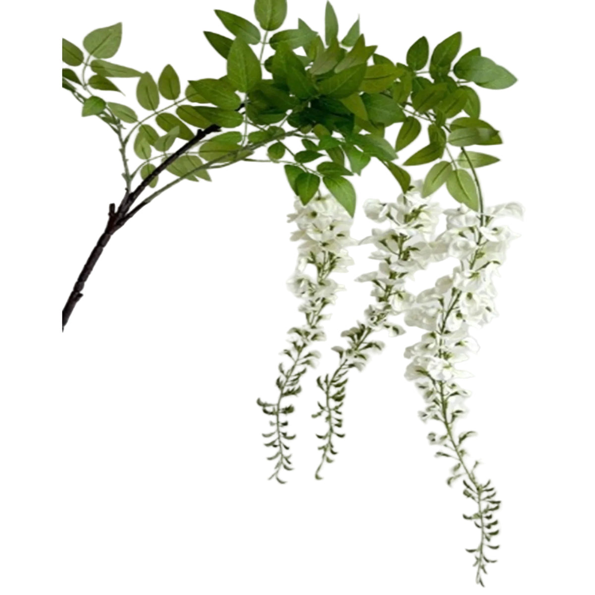 Large White Wisteria Spray