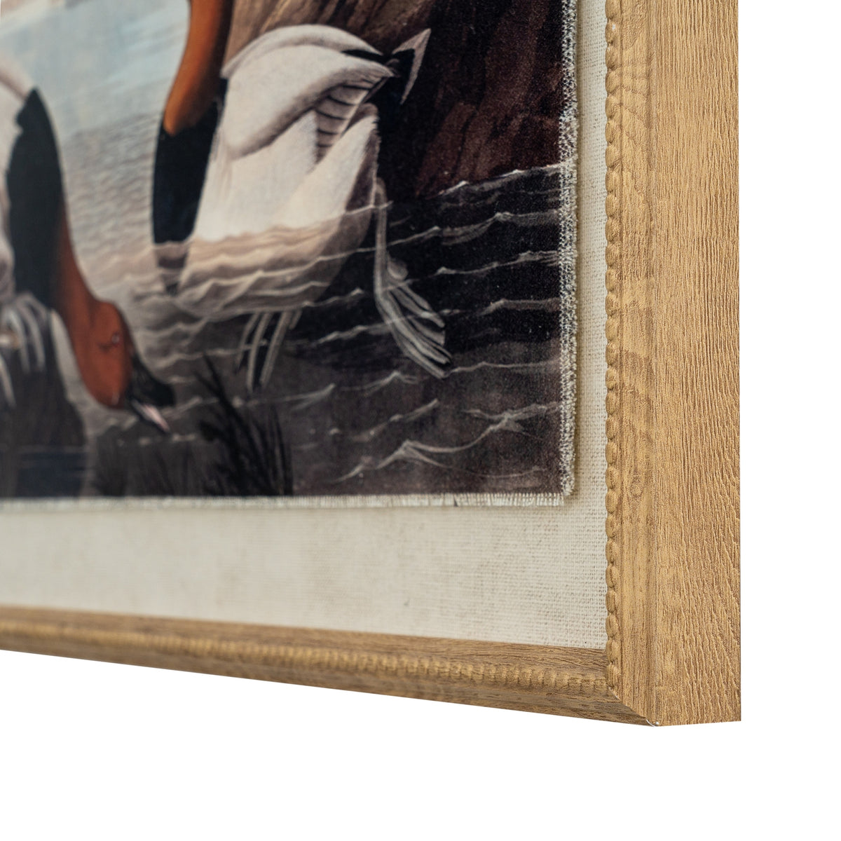Flora & Fauna Collection Pochards On Linen In Beaded Frame