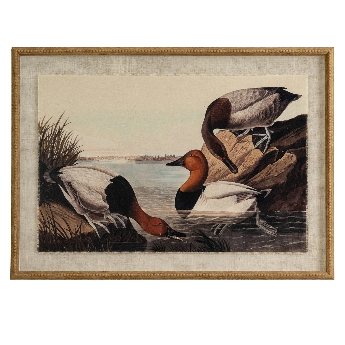 Flora & Fauna Collection Pochards On Linen In Beaded Frame