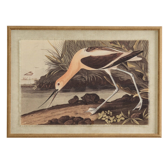 Flora & Fauna Collection Avocet On Linen In Beaded Frame