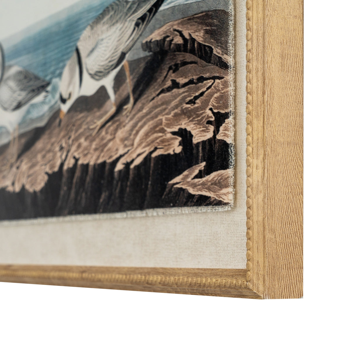 Flora & Fauna Collection Plovers On Linen In Beaded Frame