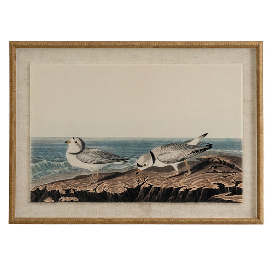 Flora & Fauna Collection Plovers On Linen In Beaded Frame