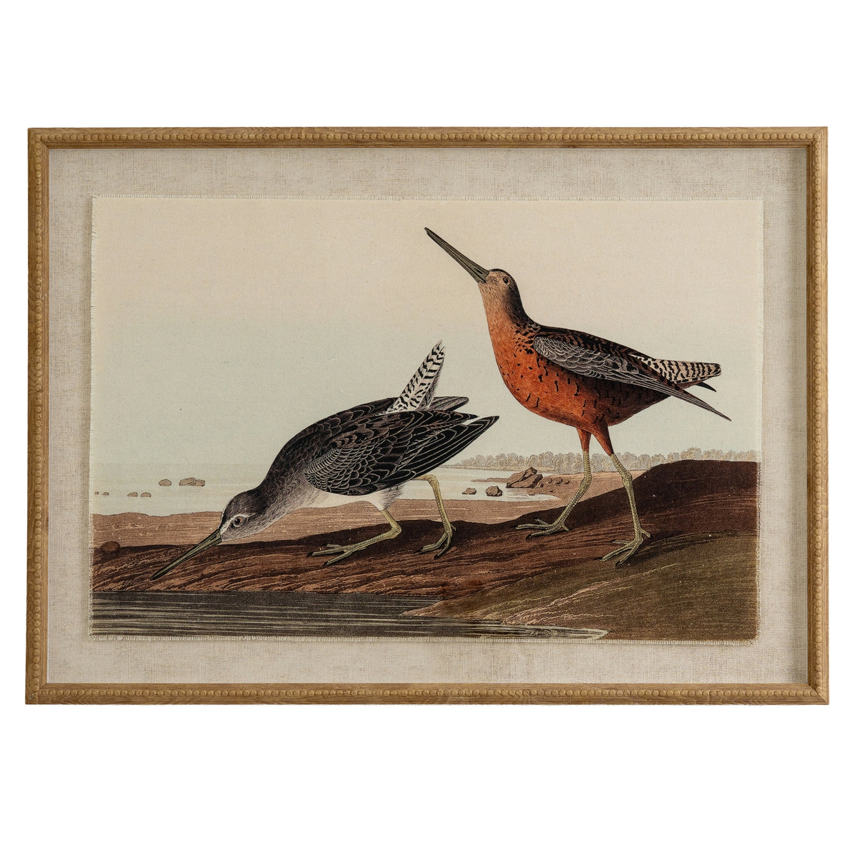 Flora & Fauna Collection Snipes On Linen In Beaded Frame