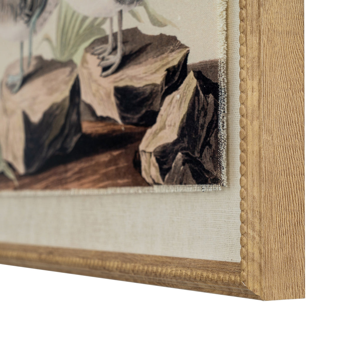 Flora & Fauna Collection Teals On Linen In Beaded Frame