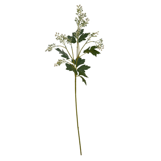 Milk Thistle Bud Spray