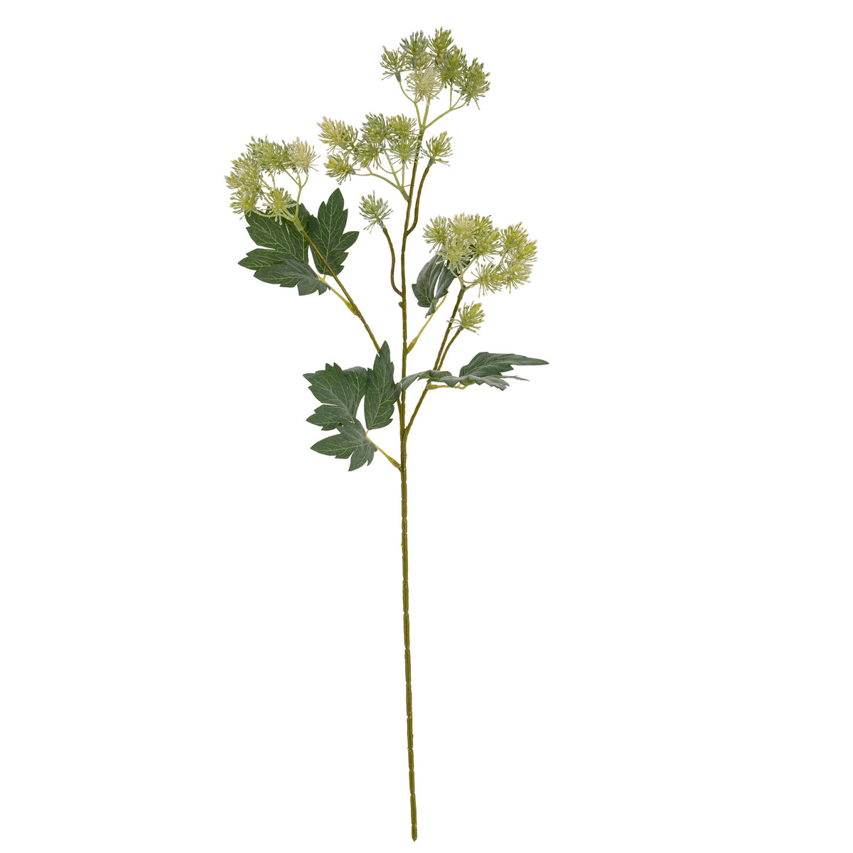 Green French Meadow Spray