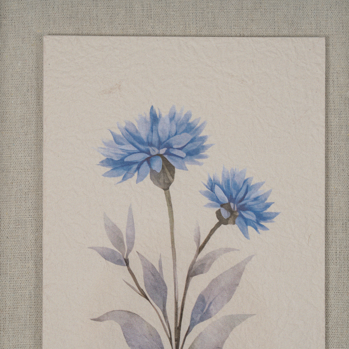Rosalie Textured Paper Cornflower in Mirrored Frame