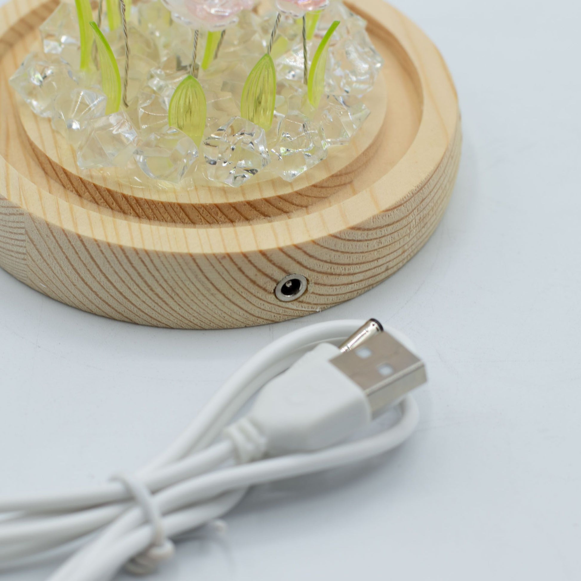 Floral Glow Garden Dome - 10 Pink Roses - LED USB